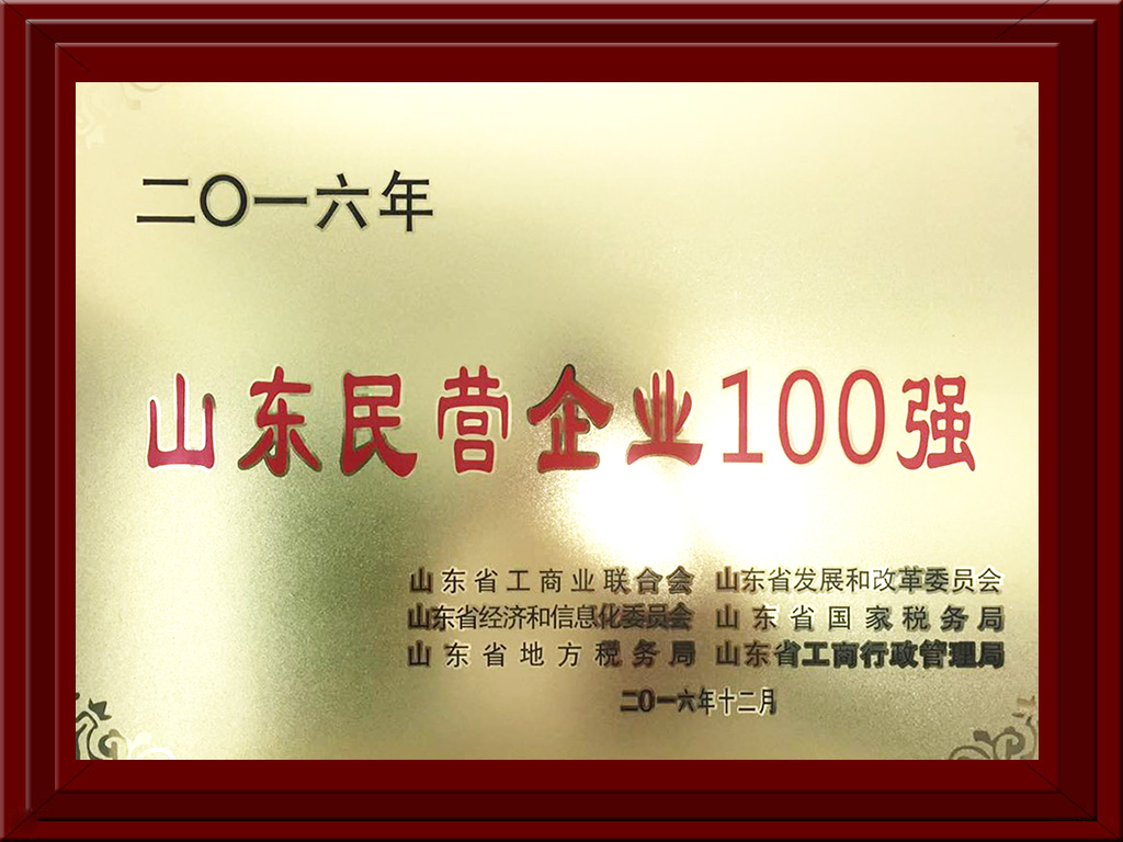 2016.12山東民營企業100強